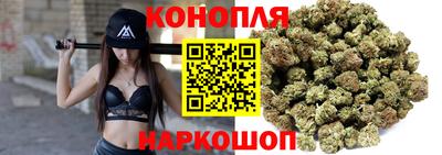 mdpv Кандалакша