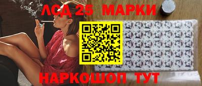 mdpv Кандалакша