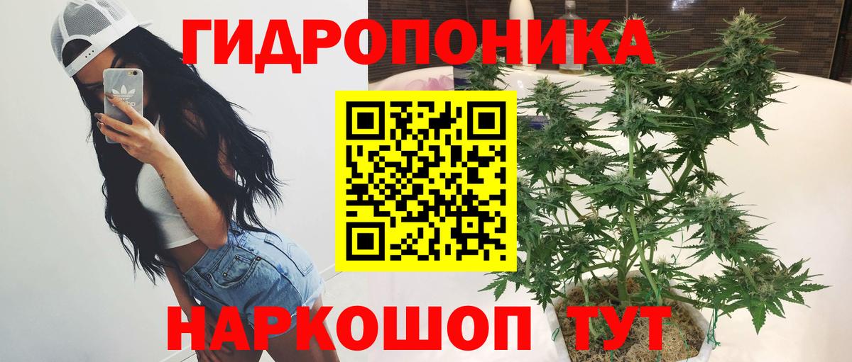 Канабис семена  Вход с VPN  Лесозаводск  Каннабис сатива  Конопля AK-47 